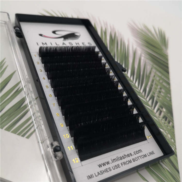 Wholesale blooming fast fanning lash extensions in Europe-V